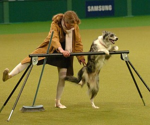 Performing our Ballet routine , Crufts 2009